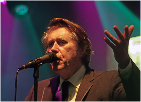 Bryan ferry, the bryan ferry orchestra, love supreme jazz festival