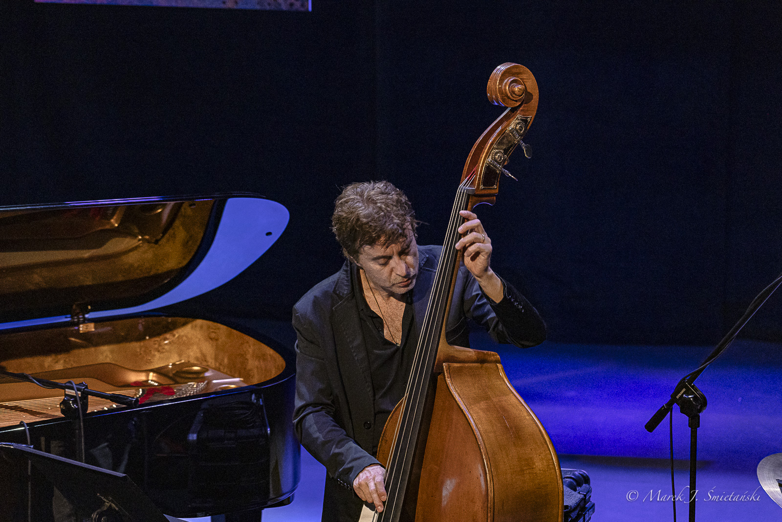 Stefano Senni