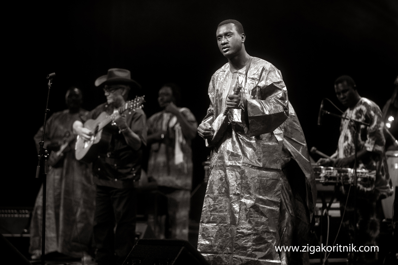 Afrocubism / Bassekou Kouyate