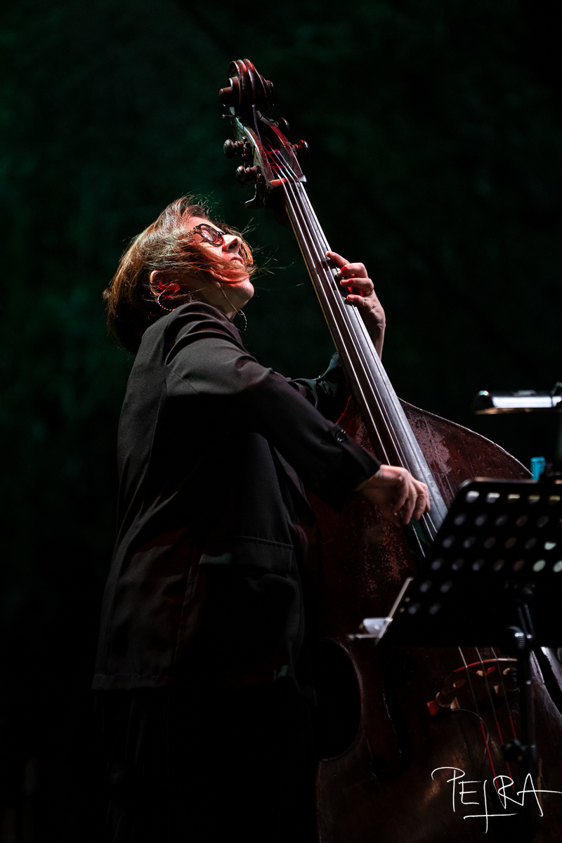James Brandon Lewis / Red Lily Quintet / For Mahalia, With Love