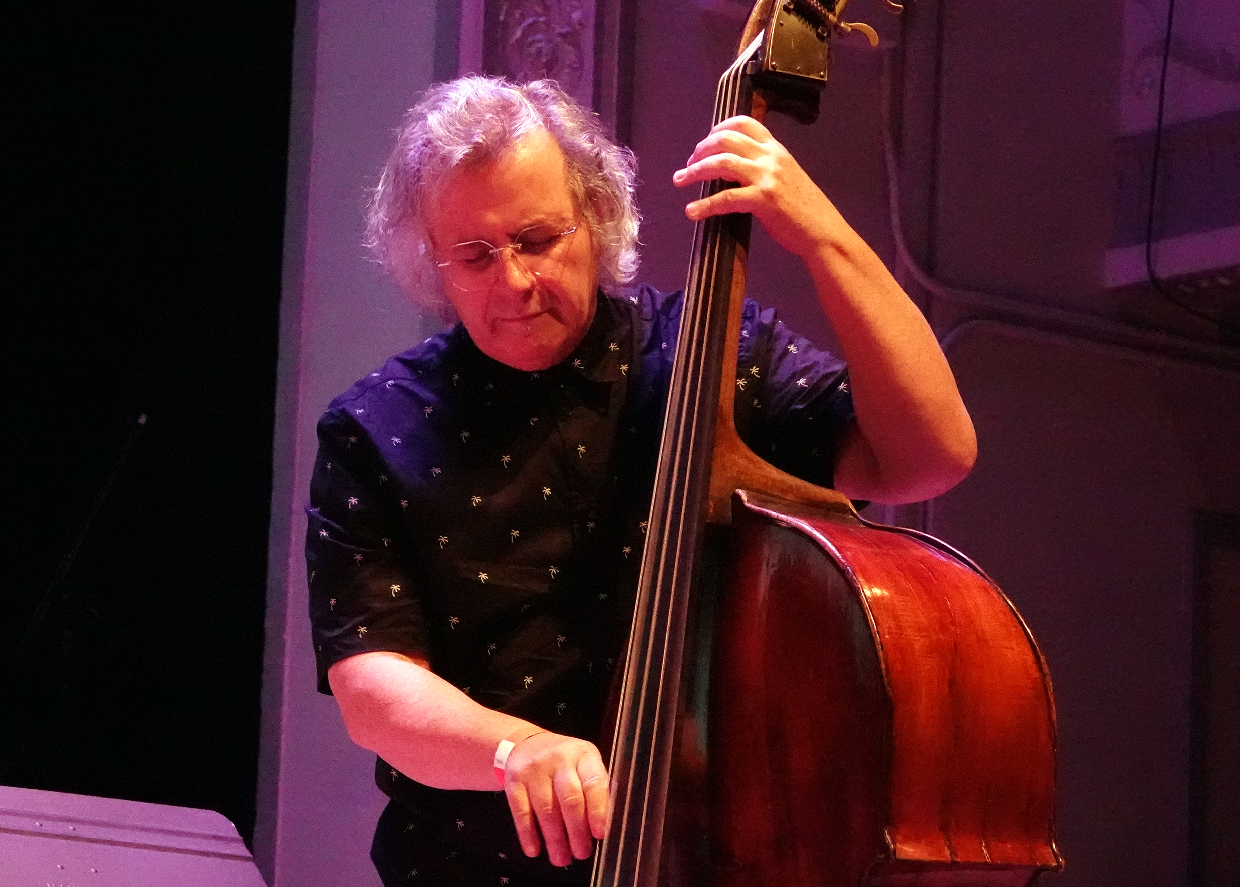 Michael Bisio at 24th Annual Vision Festival