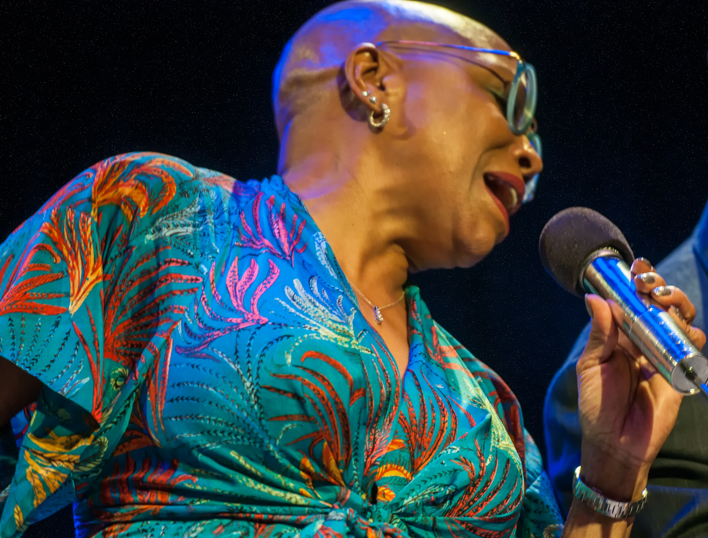 Dee Dee Bridgewater at Jazz for Obama at Symphony Space