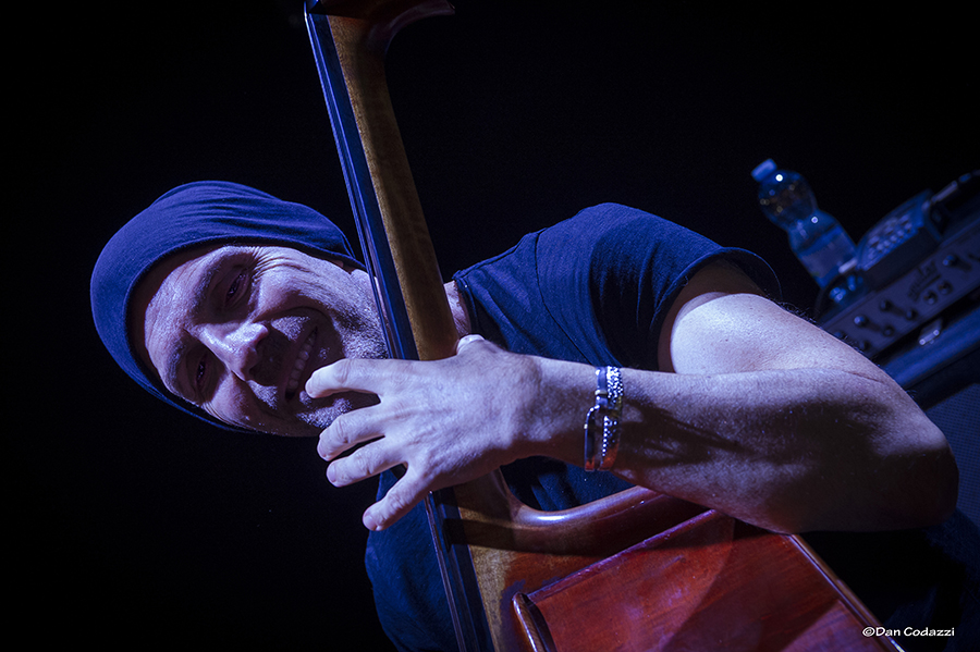 Luca Bulgarelli
