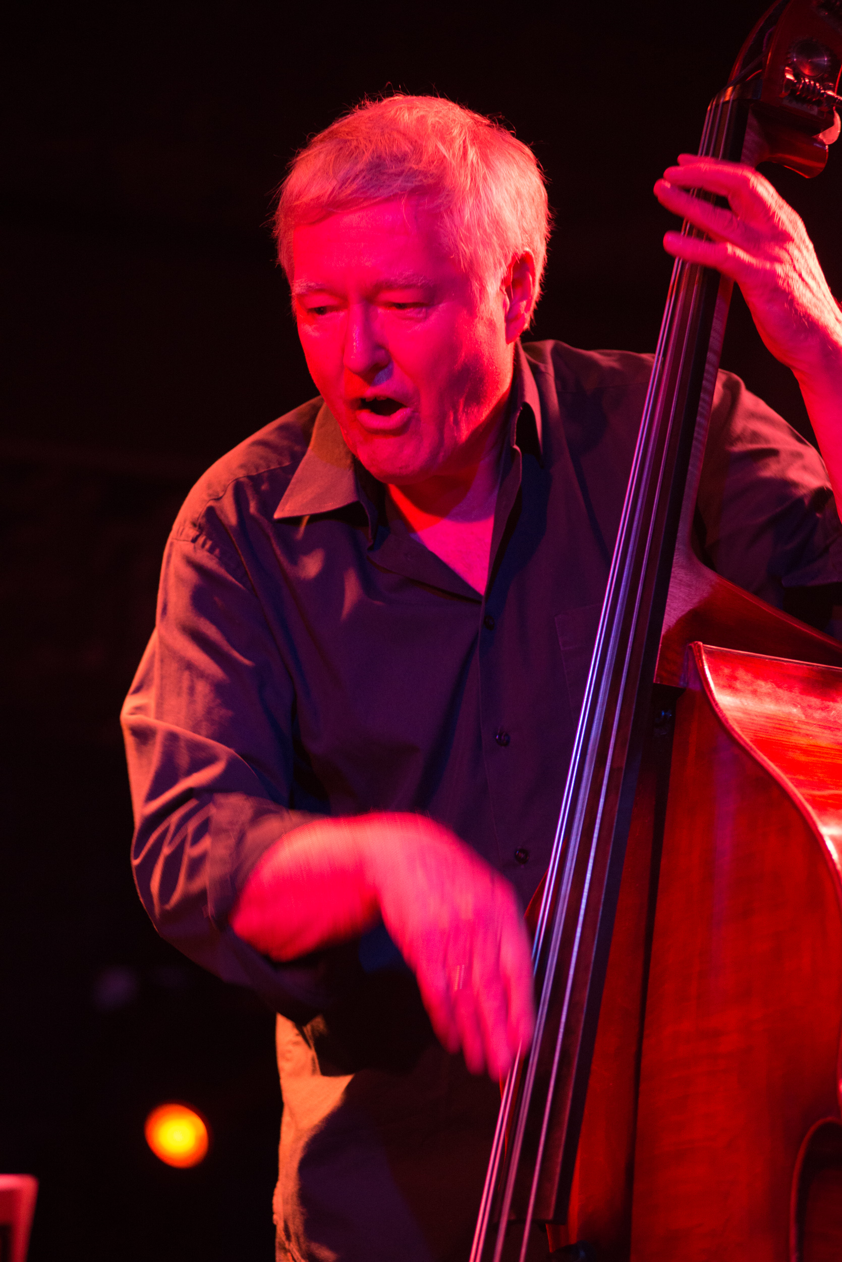 Arild Andersen Trio, Club Control, Bucharest, october 2018