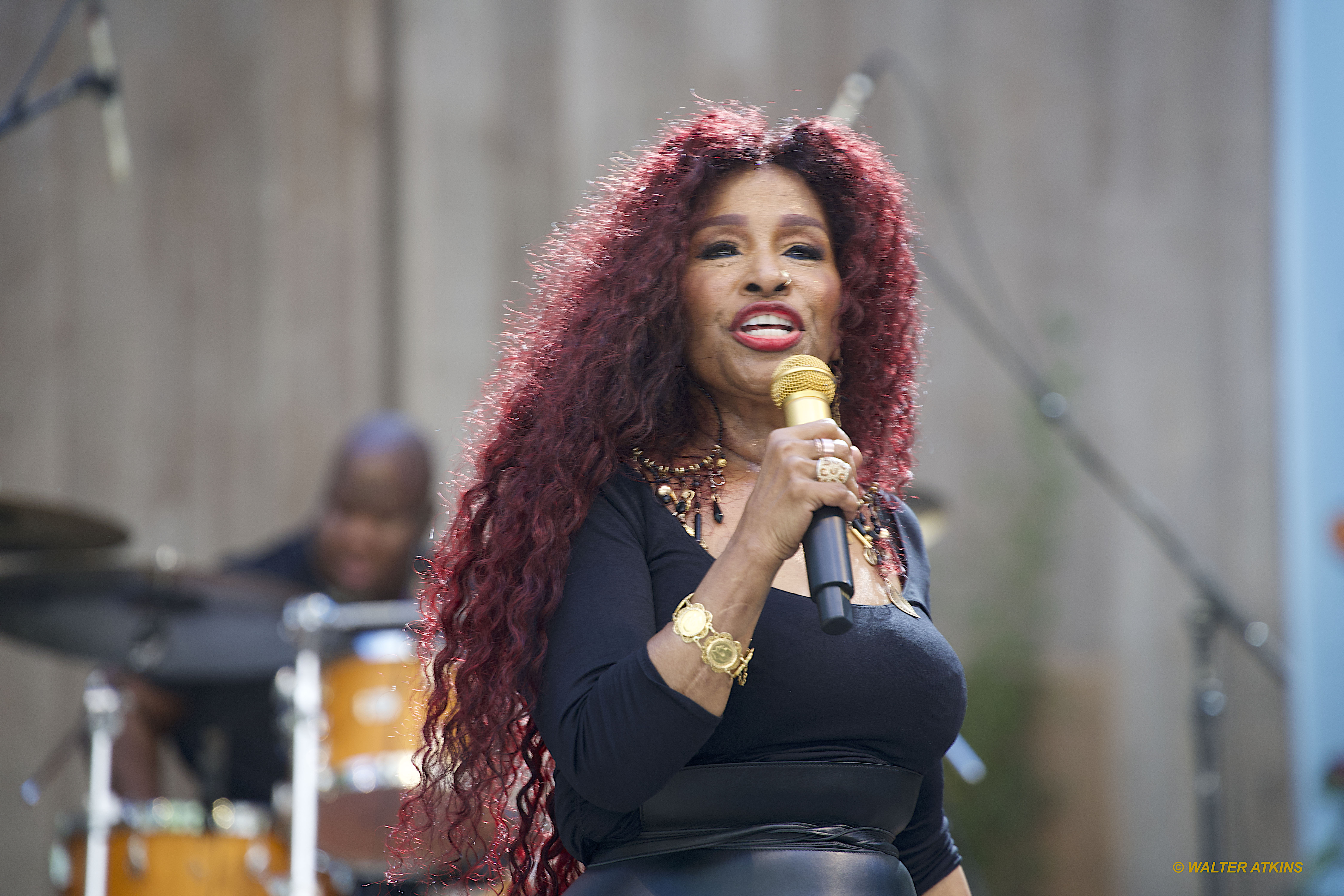 Chaka Khan at Stern Grove 2024