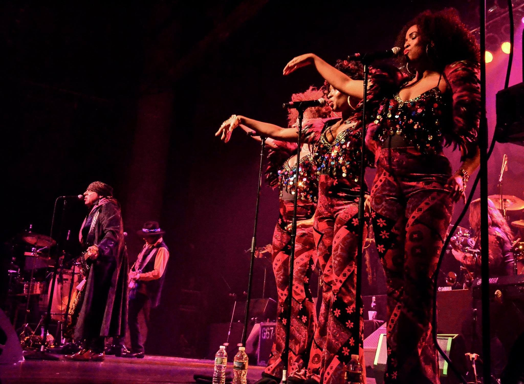 Stevie Van Zandt and the Disciples of Soul at the Paramount 