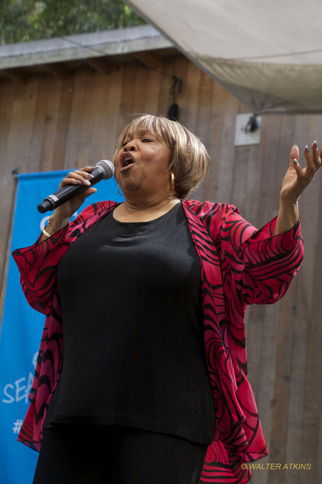 Mavis Staples At Stern Grove