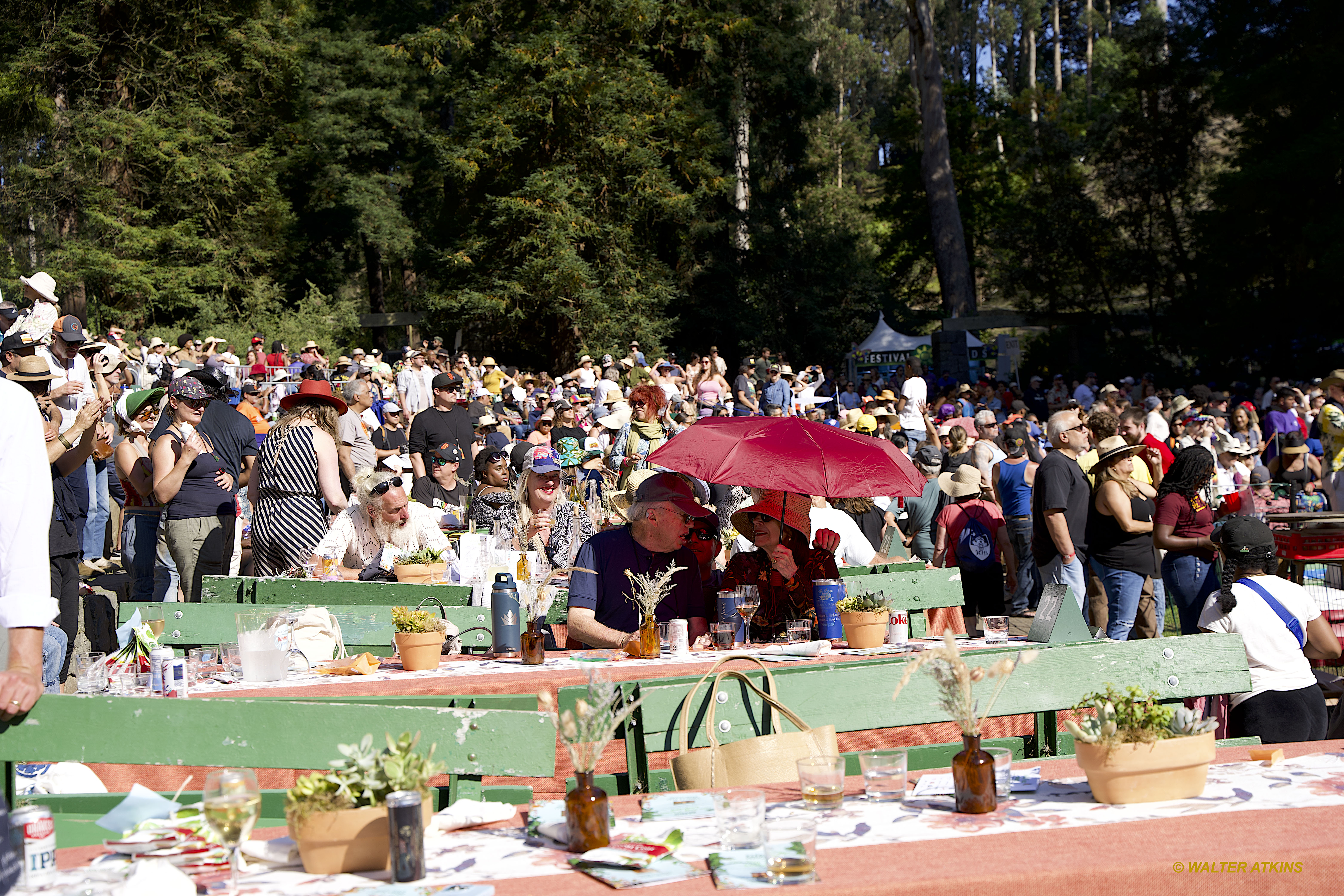 Chaka Khan at Stern Grove 2024