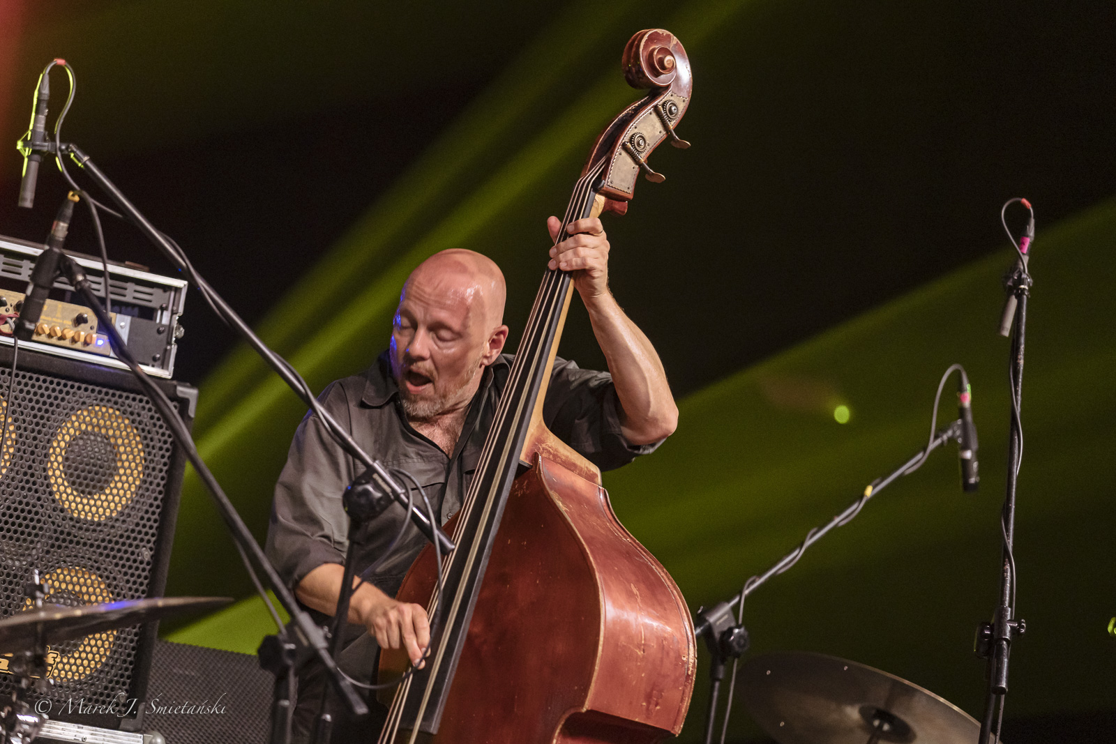 Ingebrigt Håker Flaten — jazz photo by Marek J. Śmietański | All About Jazz