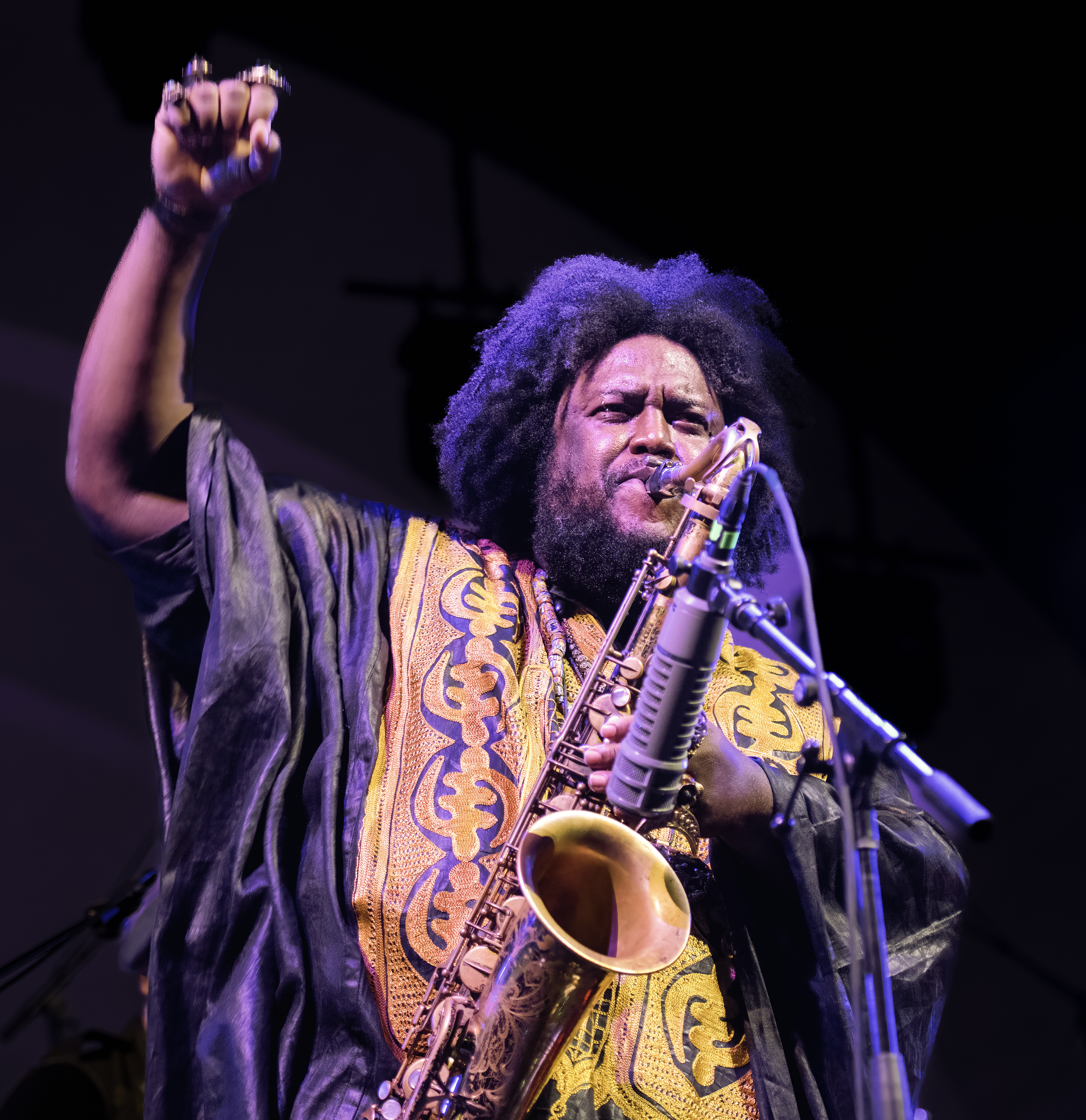 Kamasi Washington at BRIC Celebrate Brooklyn in Prospect Park