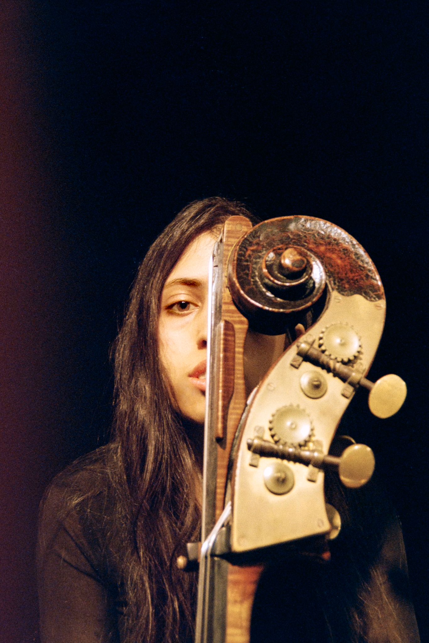  Dana Saba David