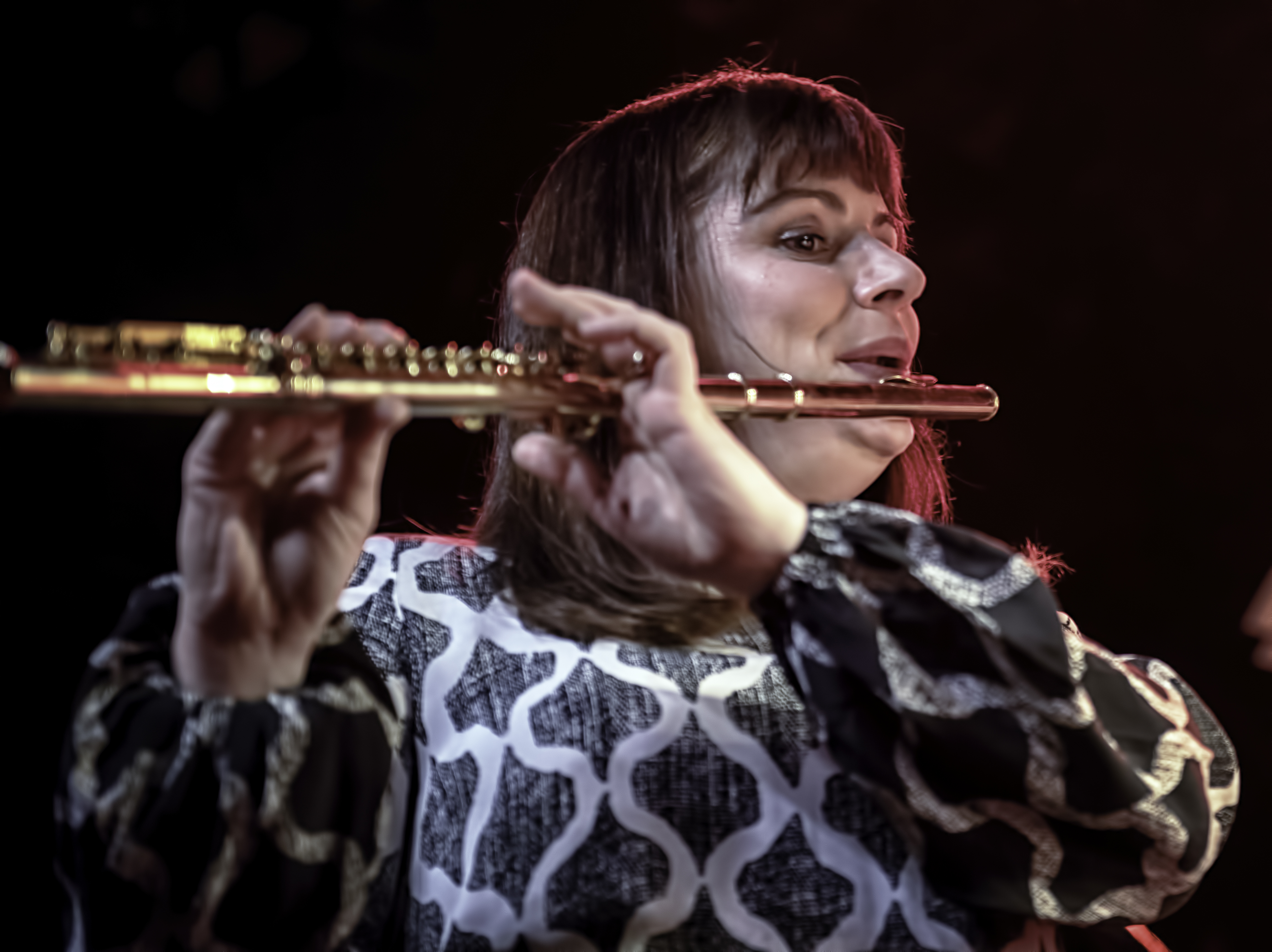 Erin Lesser with Alarm Will Sound and Medeski, Martin and Wood at the NYC Winter Jazzfest 2019