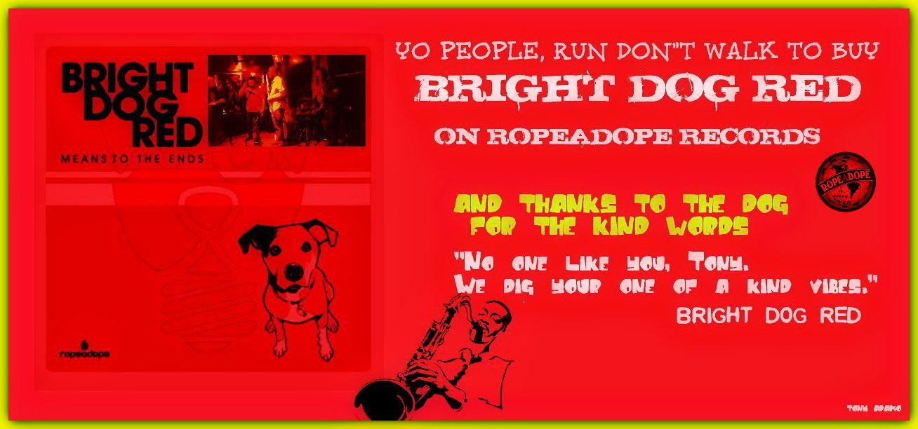 Bright Dog Red/Tony Adamo