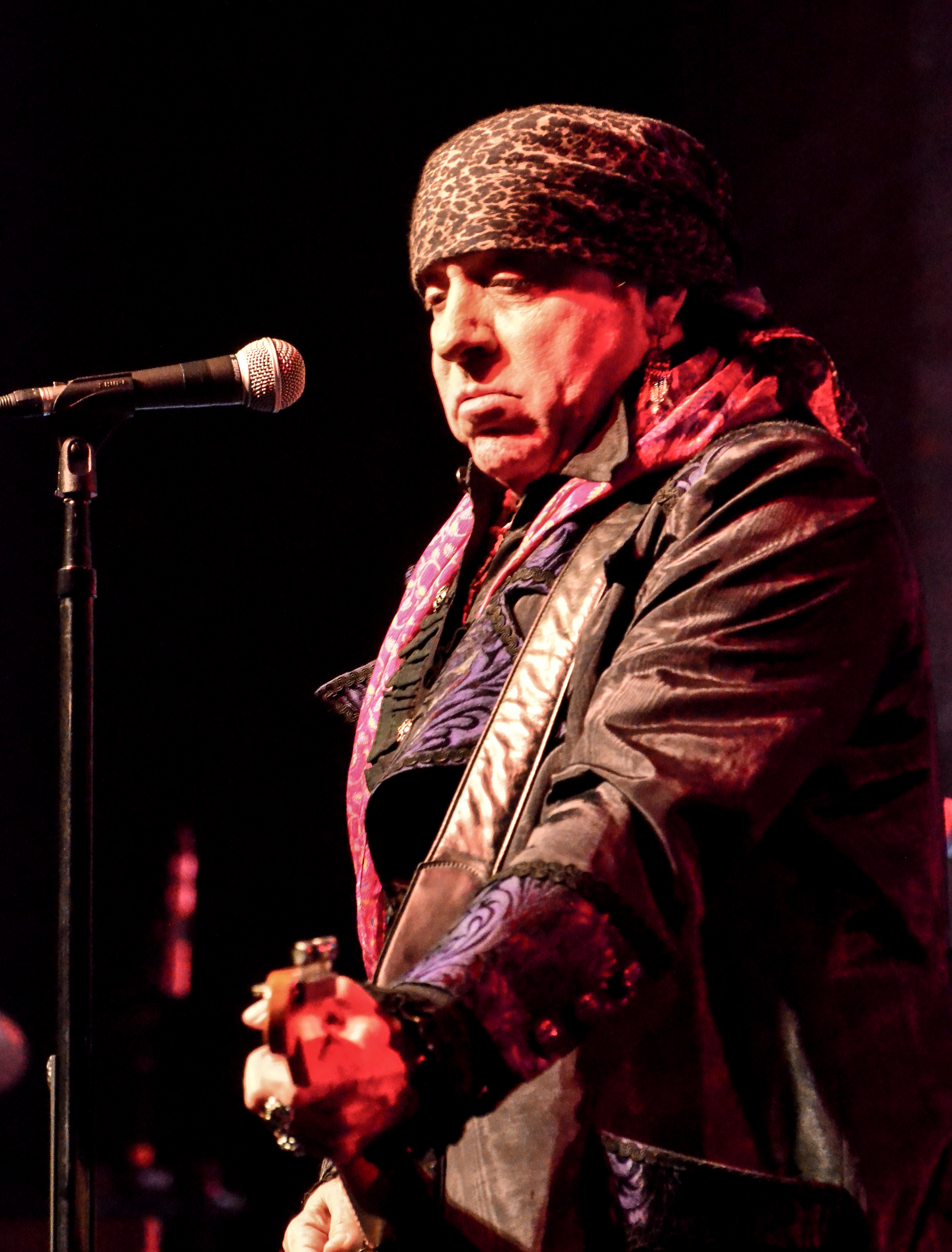 Stevie Van Zandt and the Disciples of Soul at the Paramount 