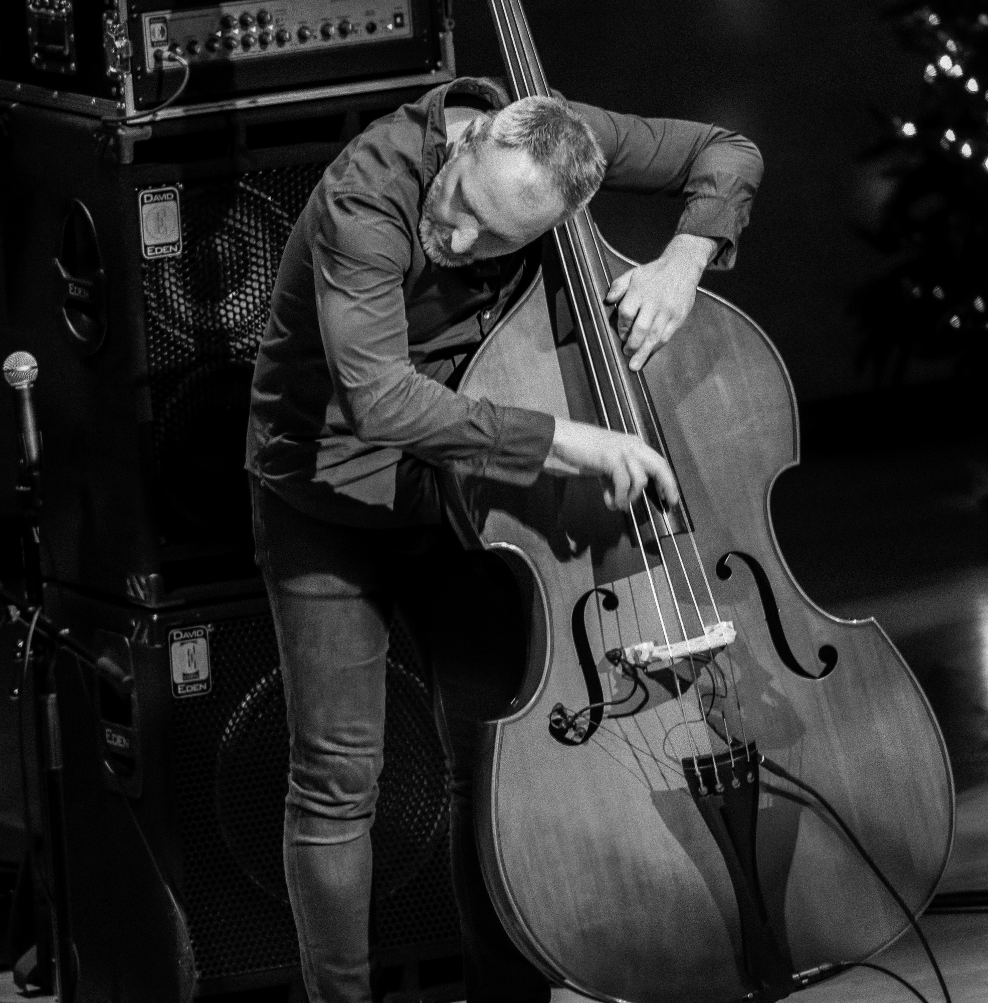 Reid Anderson with the Bad Plus Joshua Redman at the Musical Instrument Museum (MIM) Phoenix