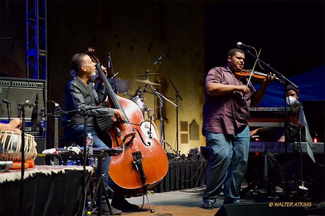 Stanley Clarke At Charles Krug Estate