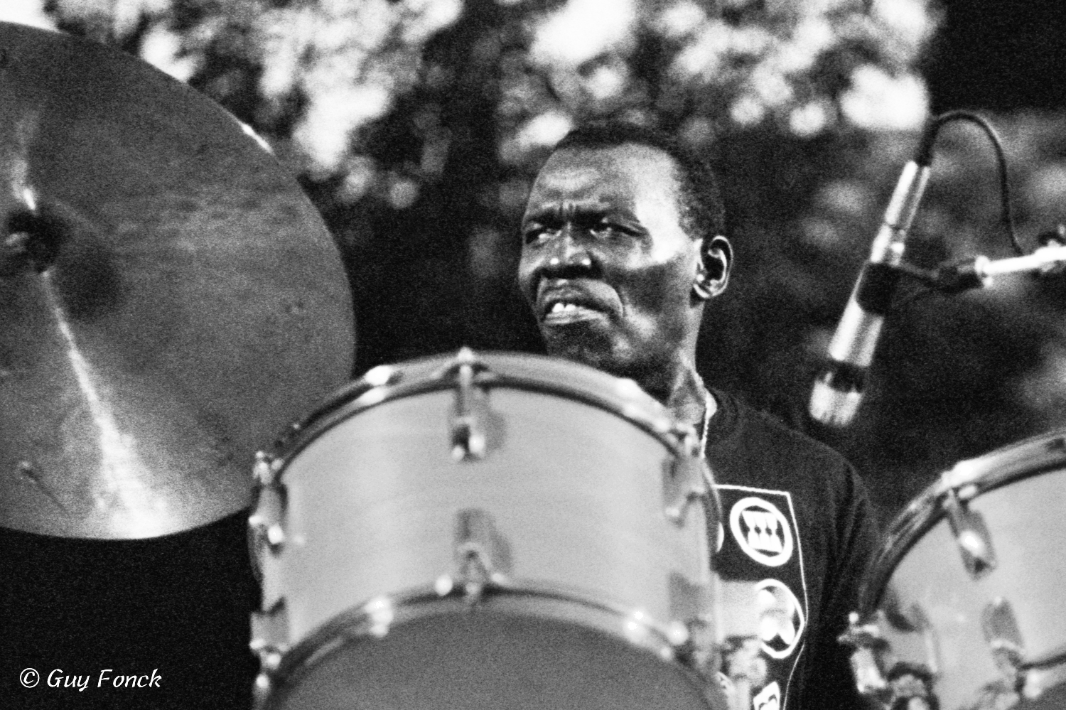 Elvin Jones 1981 — jazz photo by Guy Fonck | All About Jazz