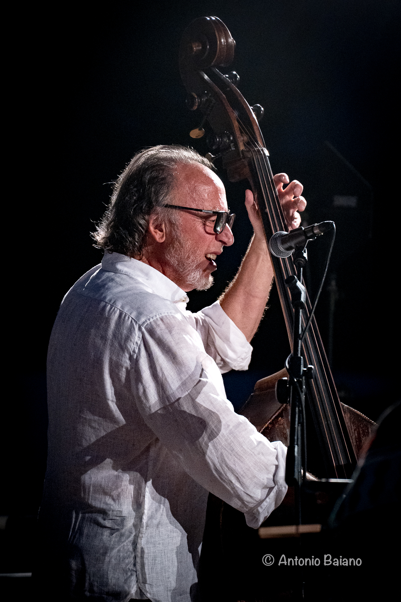 Rosario Bonaccorso