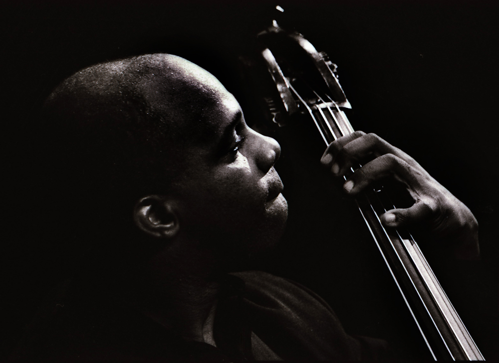 Bass Player — jazz photo by Des McMahon | All About Jazz