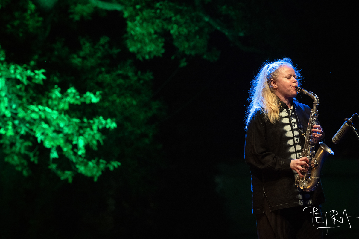 The Sleep Of Reason Produces Monsters, Mette Rasmussen — jazz photo by Petra Cvelbar | All About Jazz