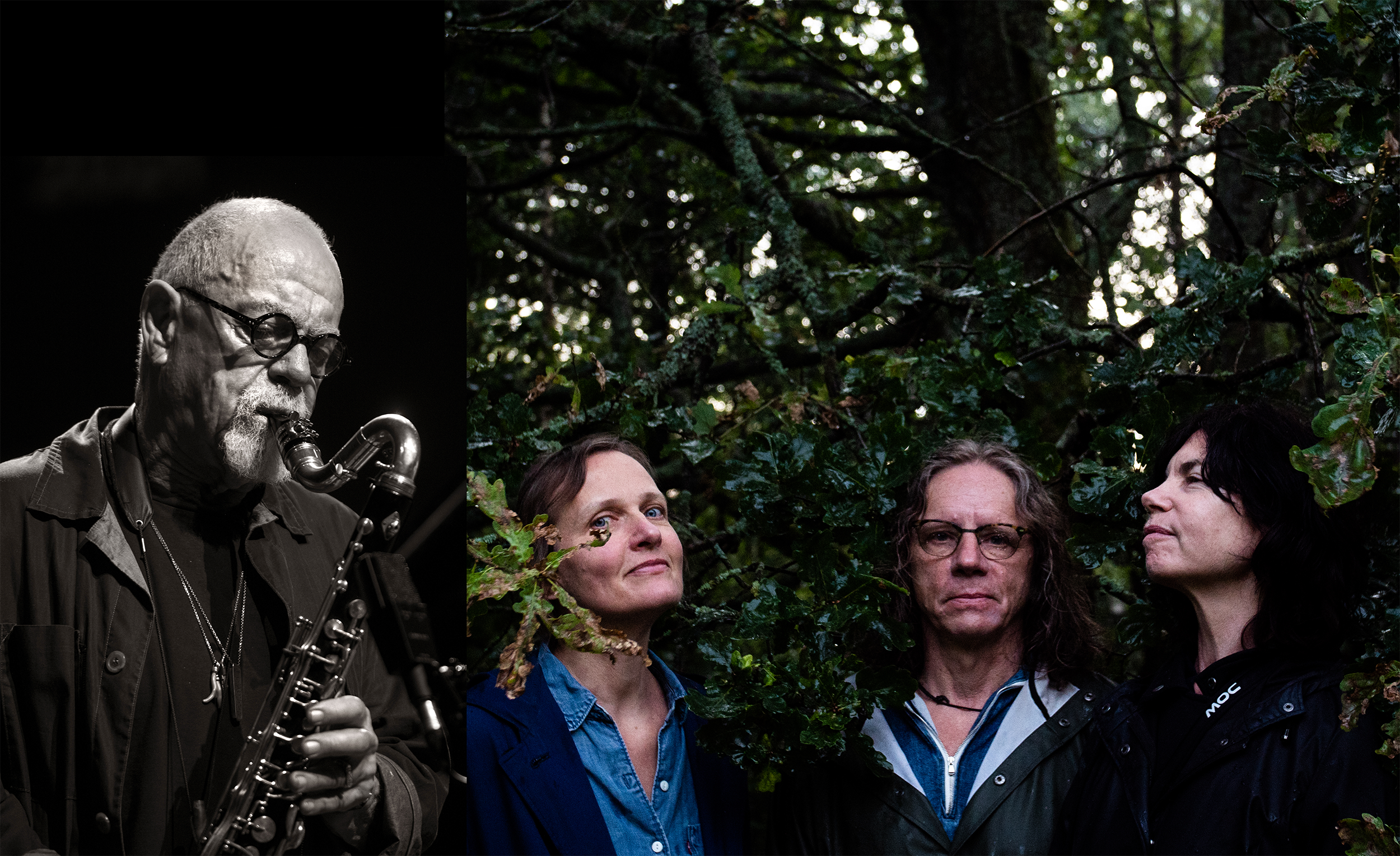 Christer Bothén & Quagmire — jazz photo by Karin Johansson | All About Jazz
