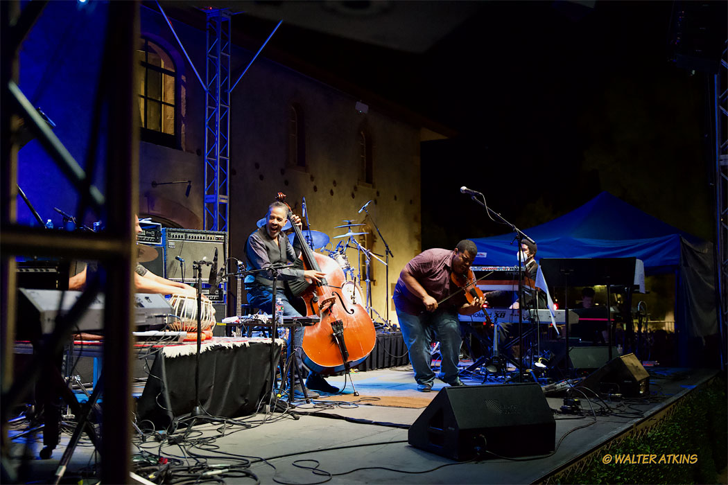 Stanley Clarke At Charles Krug Estate