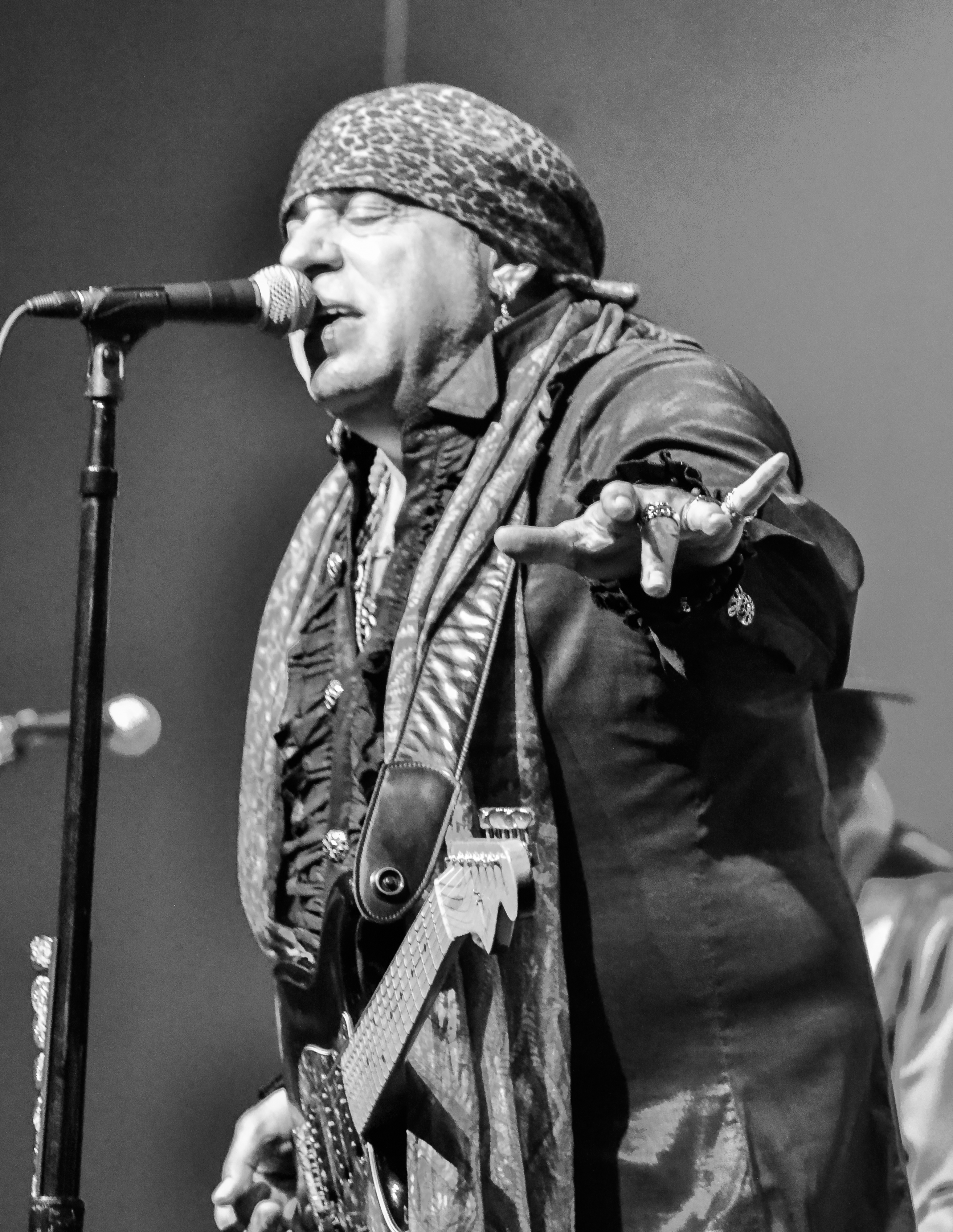 Stevie Van Zandt and the Disciples of Soul at the Paramount 