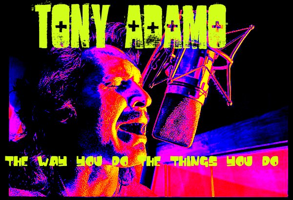 Tony Adamo