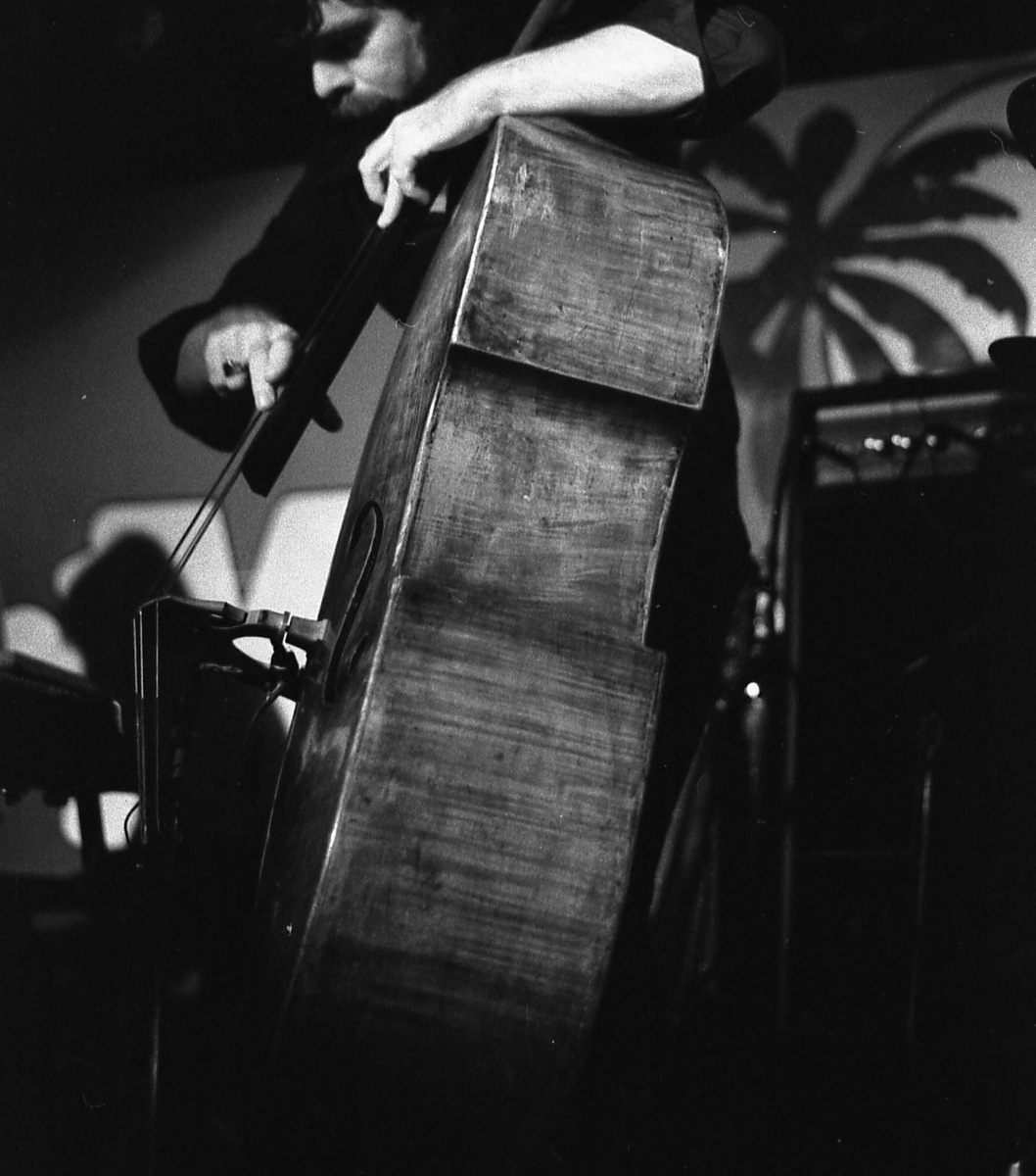 Mike Richmond — jazz photo by Mark a. Prest | All About Jazz