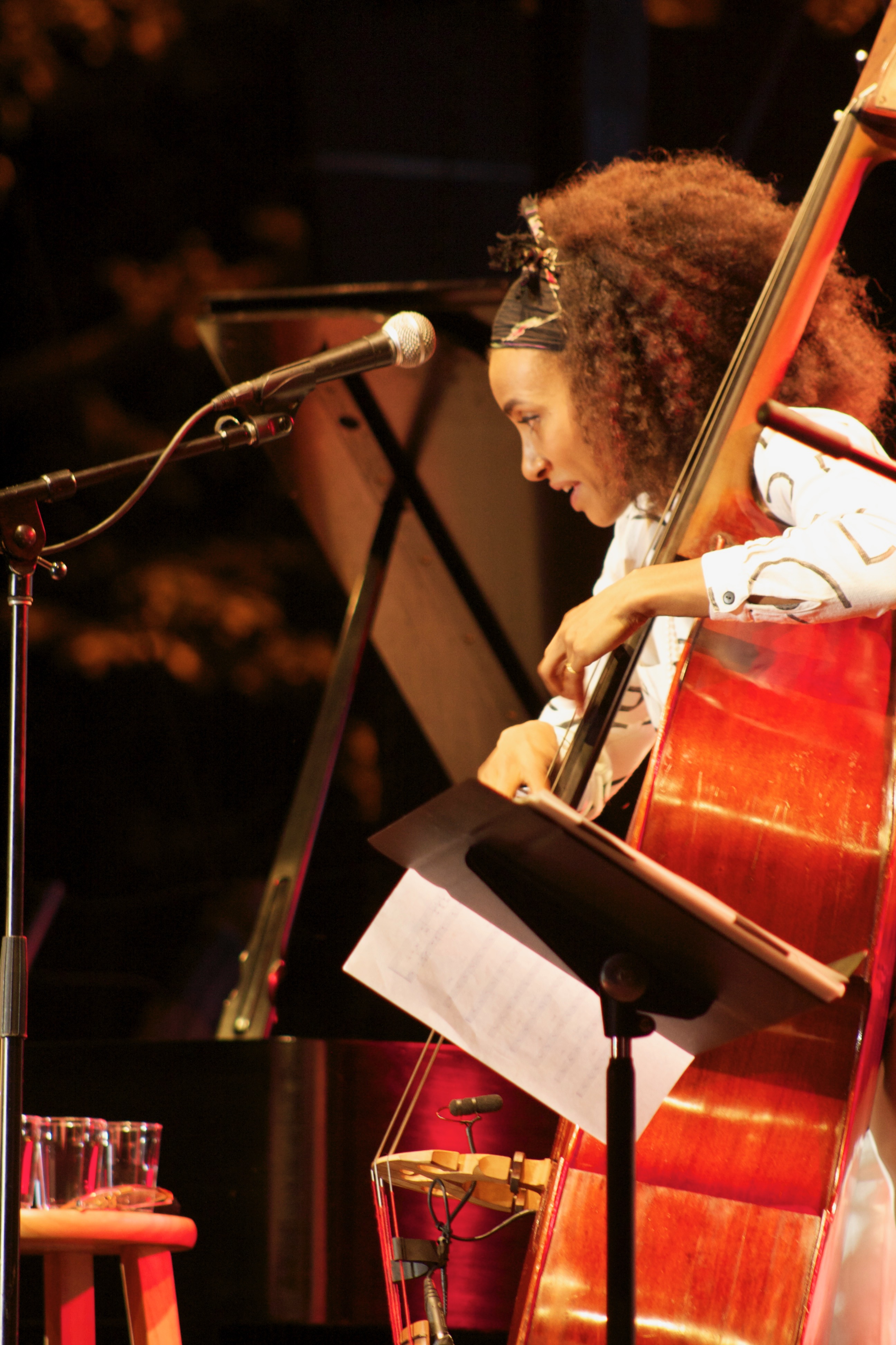 Esperanza Spalding