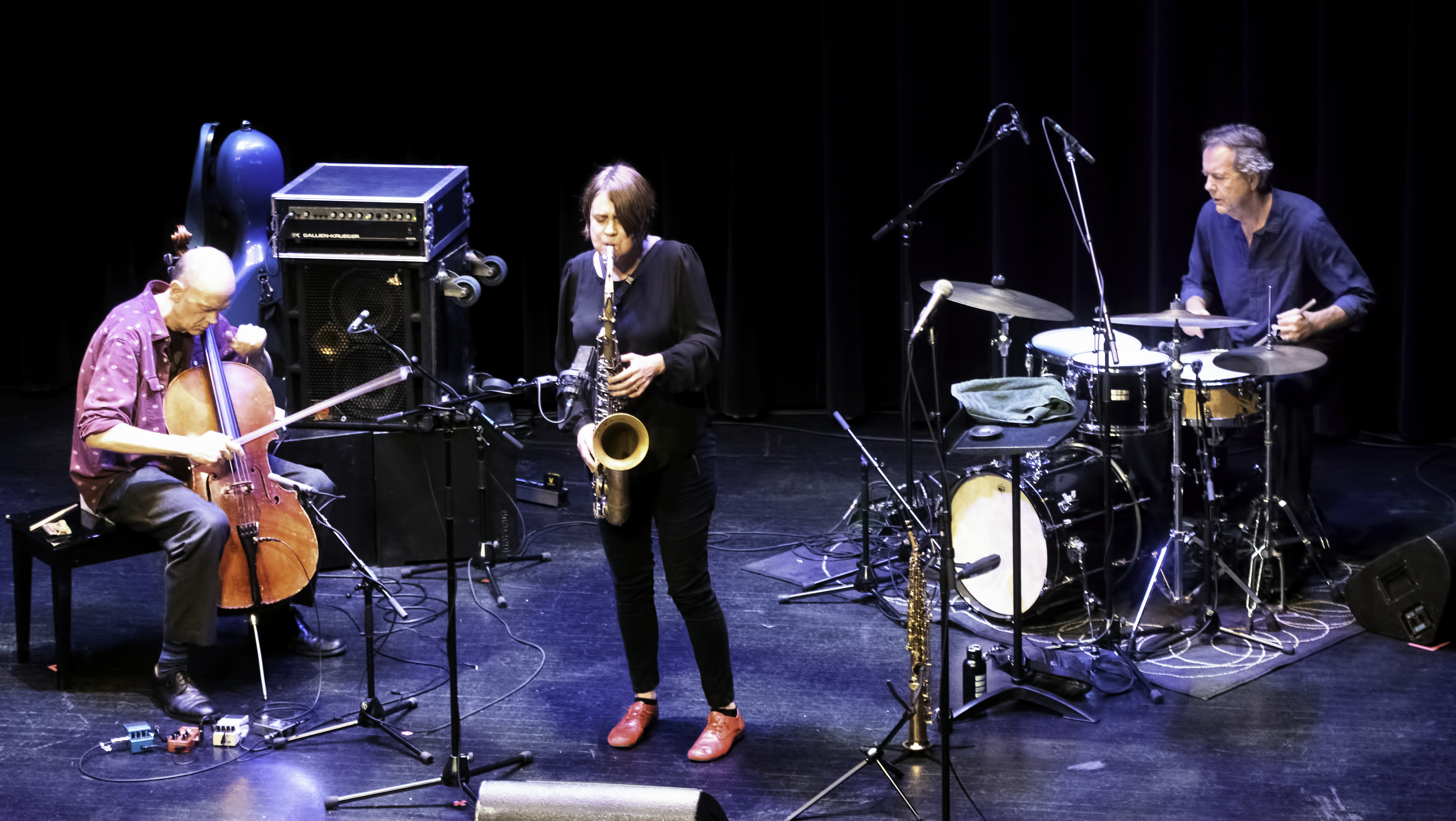 Hank Roberts, Ingrid Laubrock and Tom Rainey at the Guelph Jazz Festival 2019