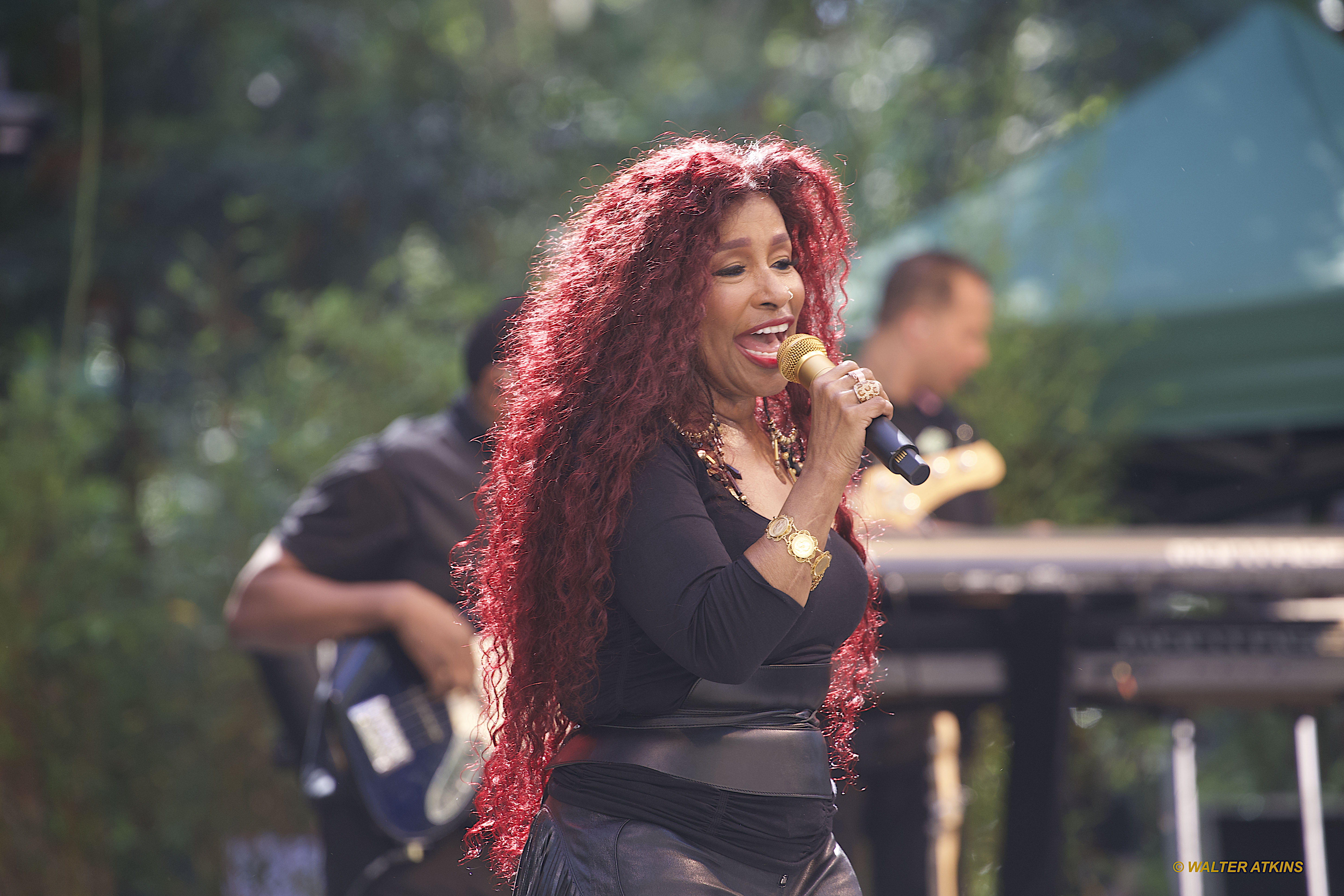 Chaka Khan at Stern Grove 2024
