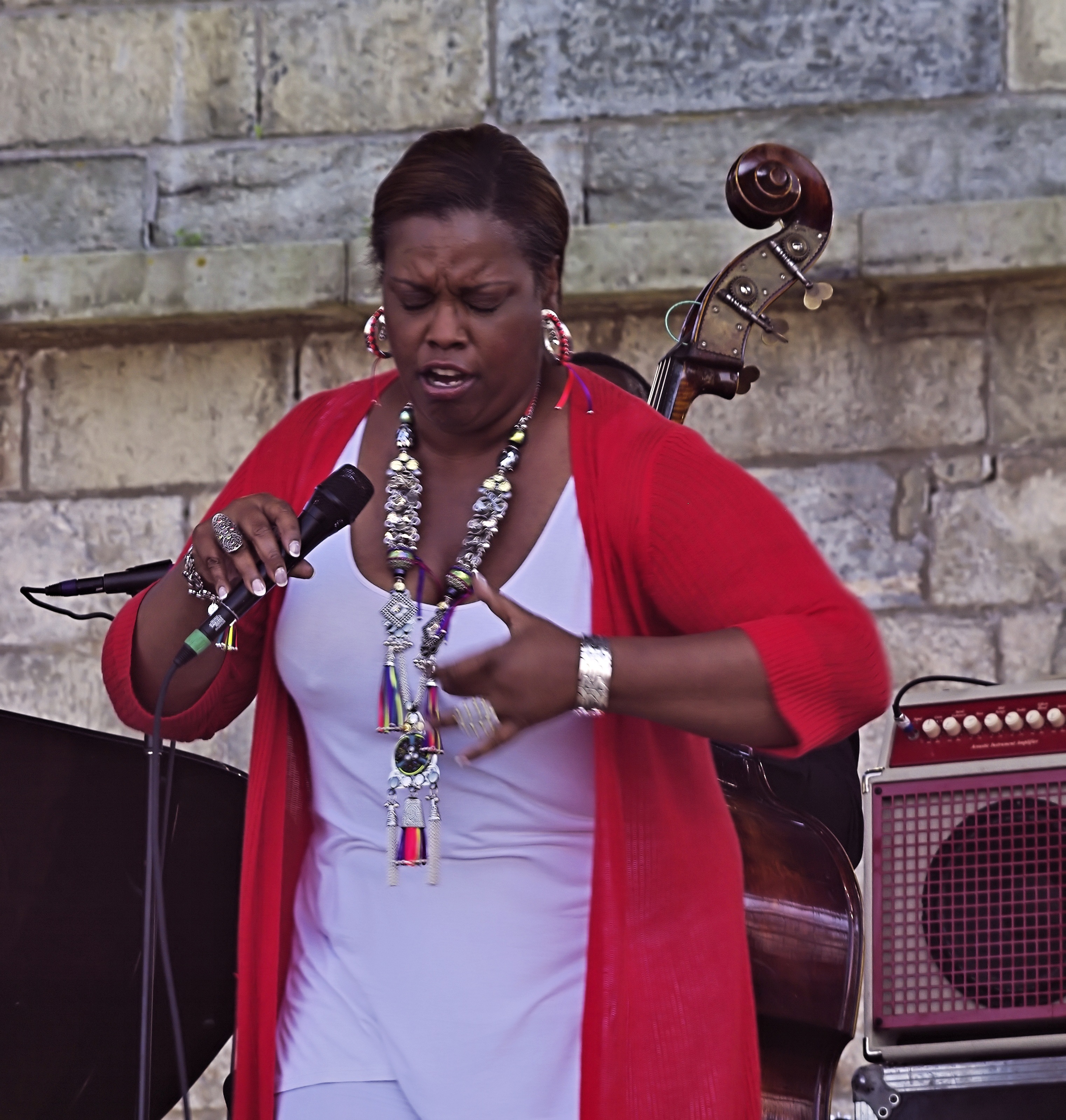 Diane Reeves at the 2012 Newport Jazz Festival — jazz photo by Harold Jenkins | All About Jazz