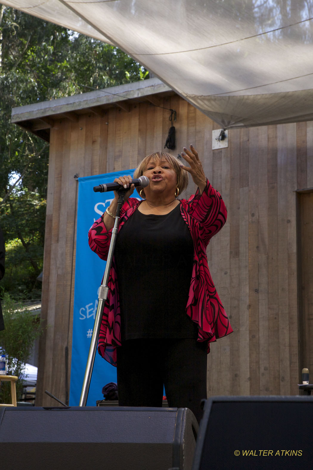 Mavis Staples At Stern Grove