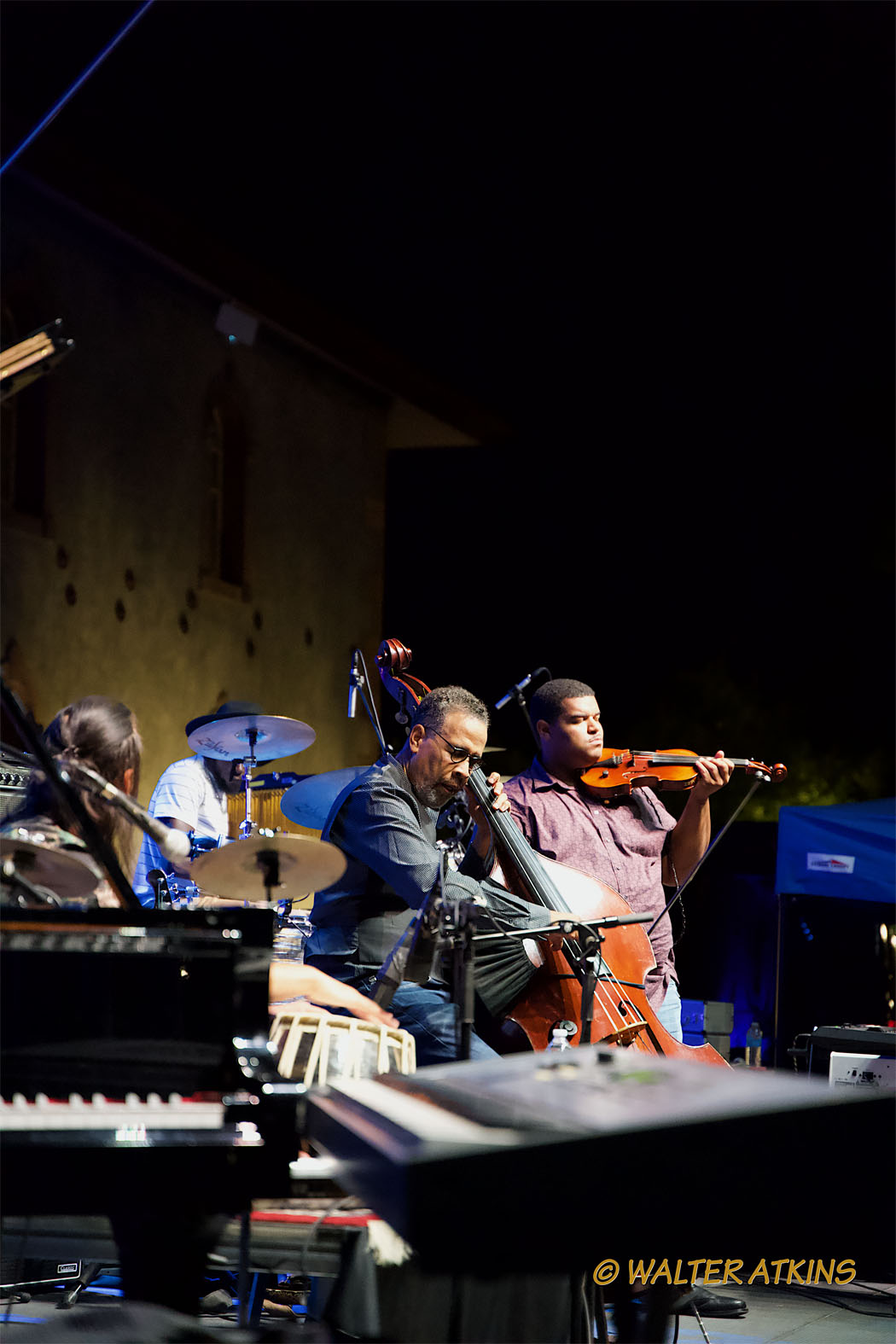 Stanley Clarke At Charles Krug Estate