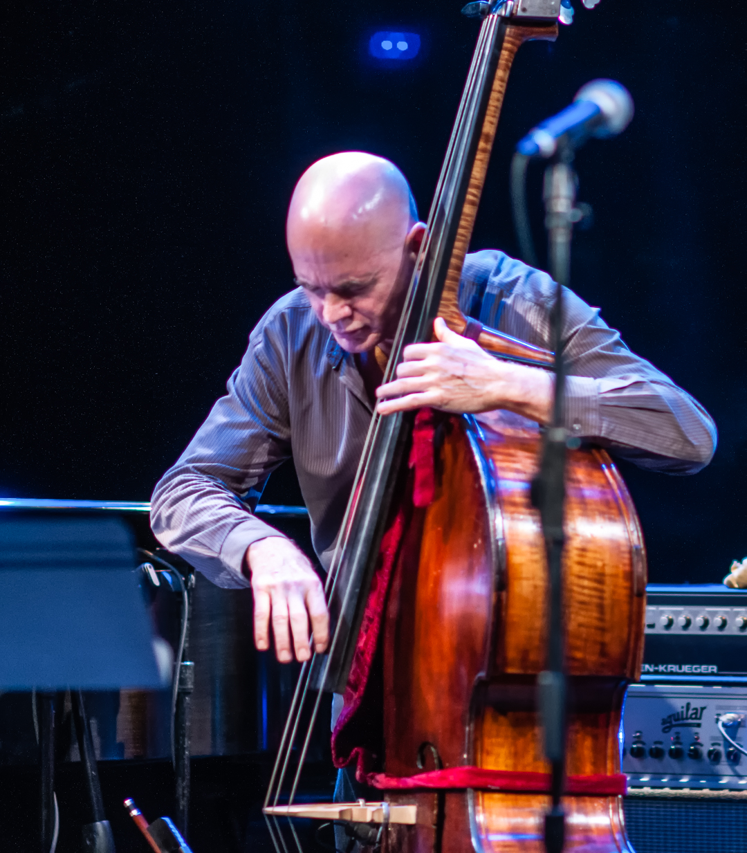 Mark Helias with Nasheet Waits' Equality at le Poisson Rouge at Winter Jazzfest 2013