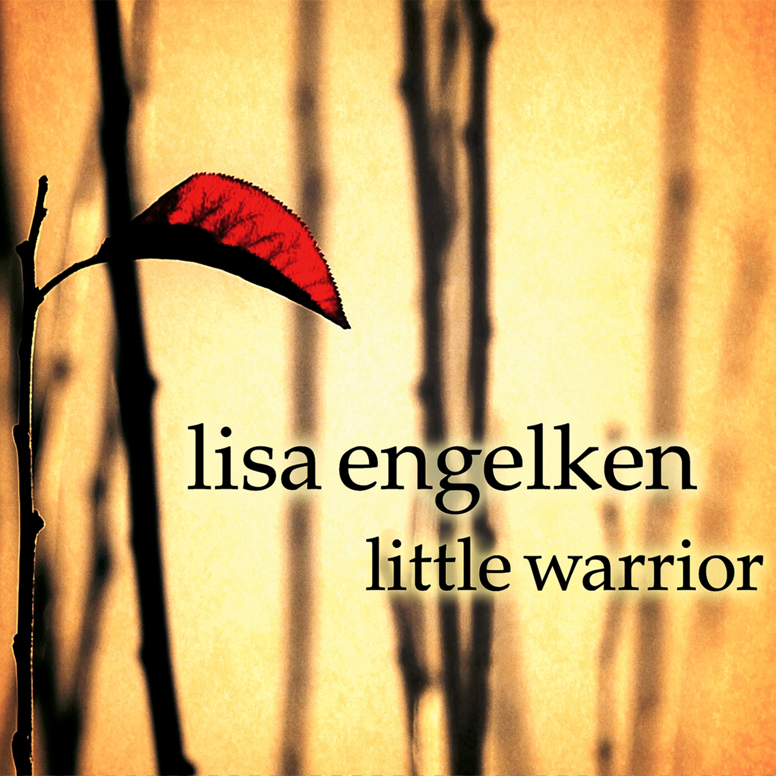 Little warrior by lisa engelken out now!