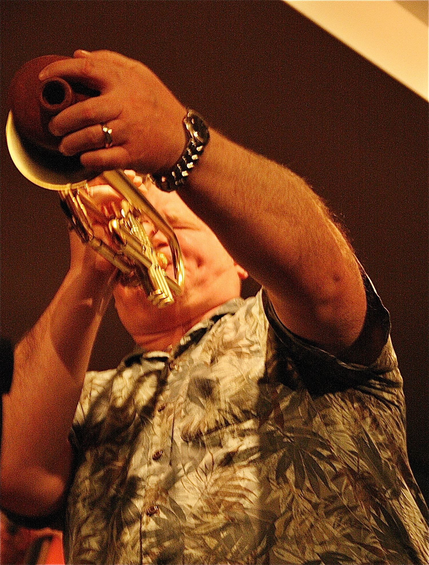 Untitled Jazz Photo