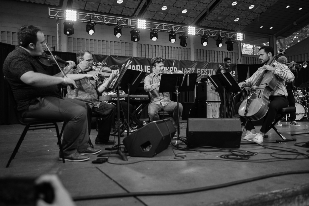 Turtle Island String Quartet (Charlie Parker Jazz Festival)