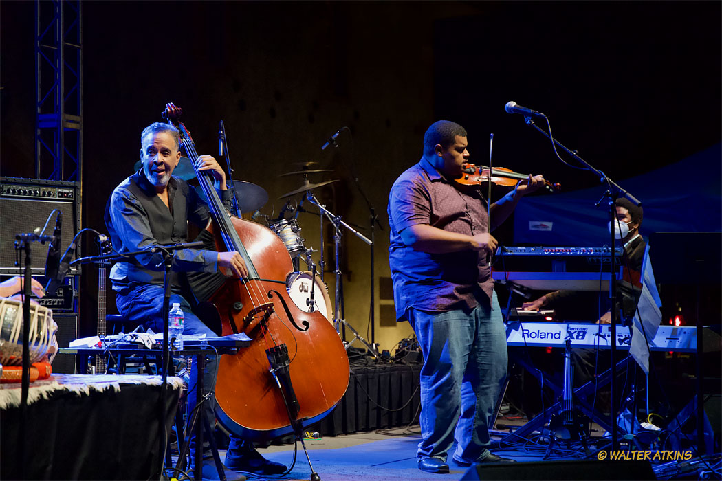 Stanley Clarke At Charles Krug Estate