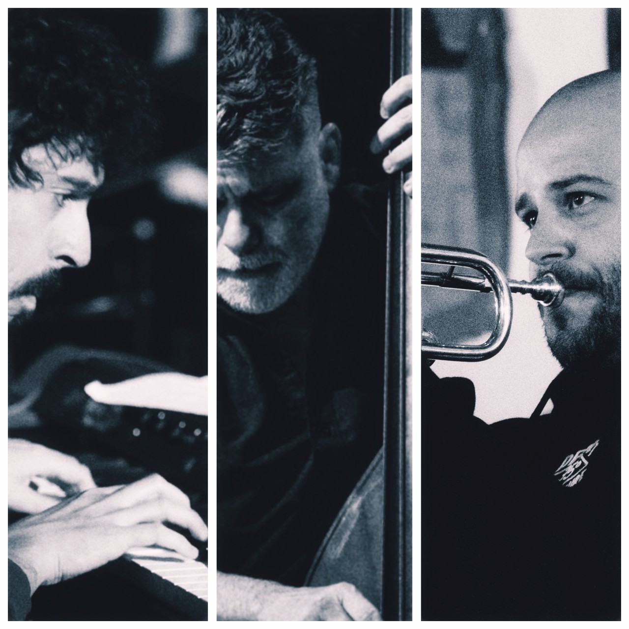 Untitled Jazz Photo — jazz photo by Walter Areia | All About Jazz