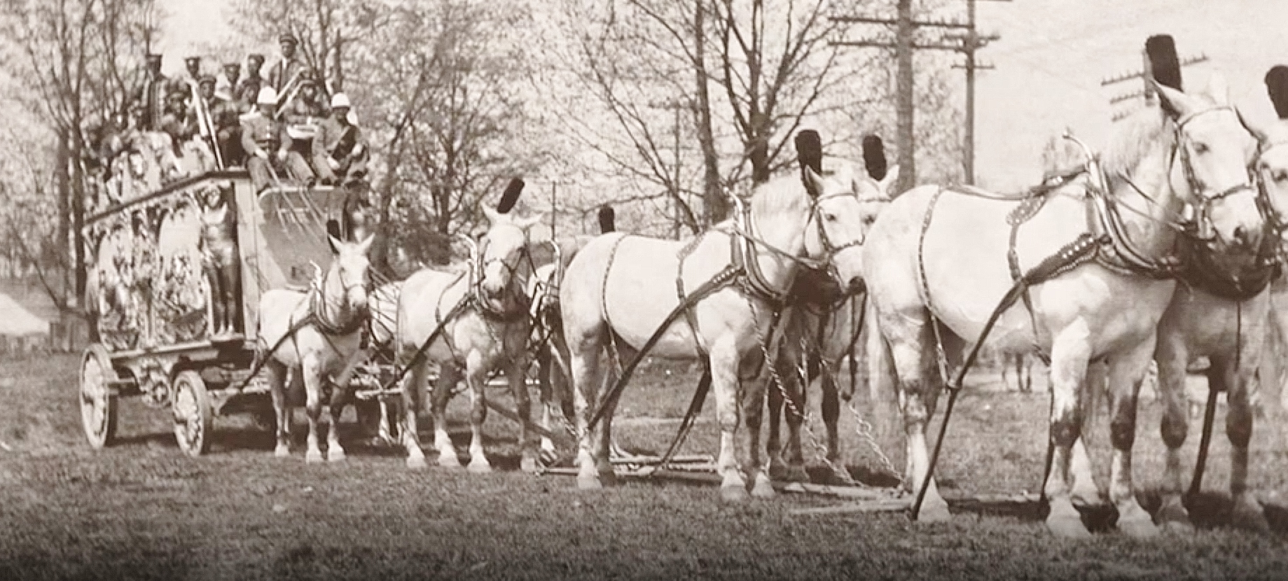 Circus Bandwagon — jazz photo by Arthur R George | All About Jazz