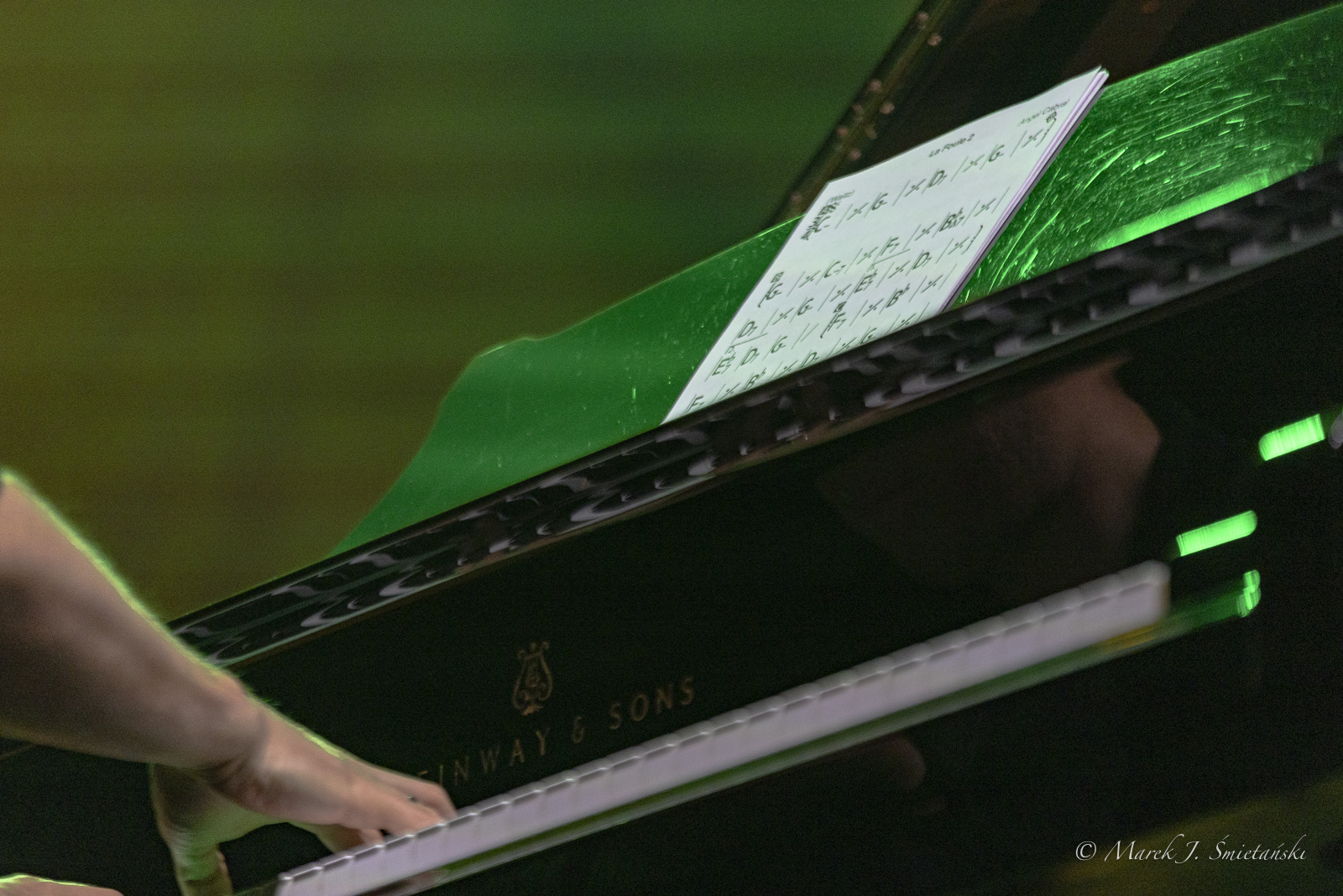 Dominik Wania