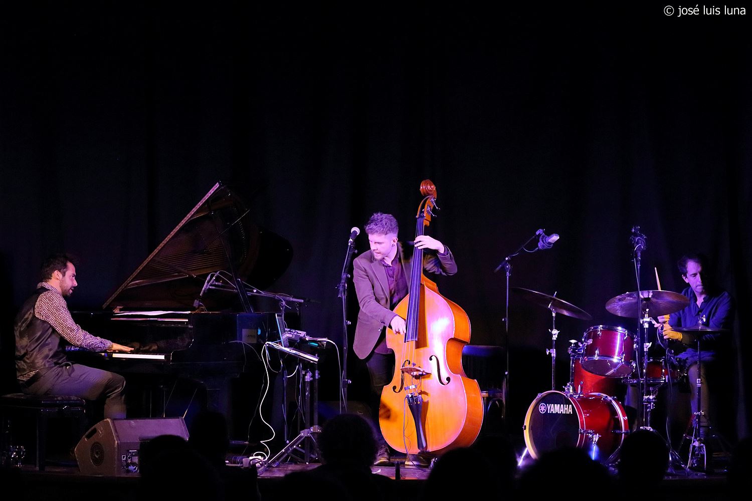 Untitled Jazz Photo