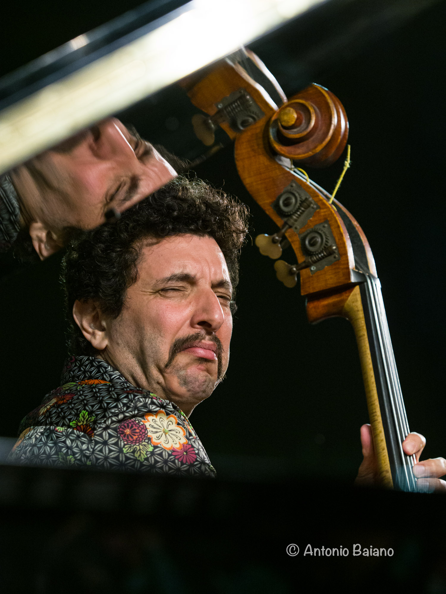 Omer Avital