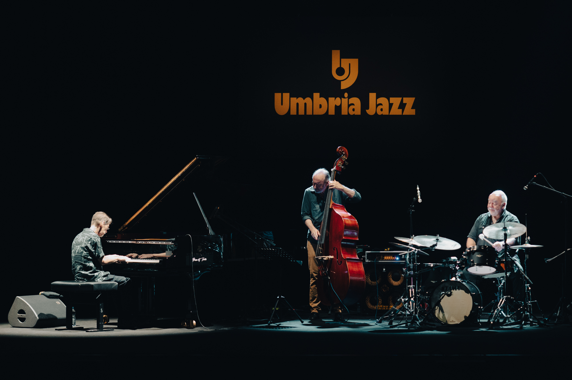 Untitled Jazz Photo — jazz photo by Andrea Rotili | All About Jazz