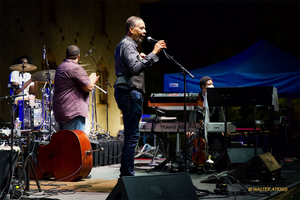 Stanley Clarke At Charles Krug Estate