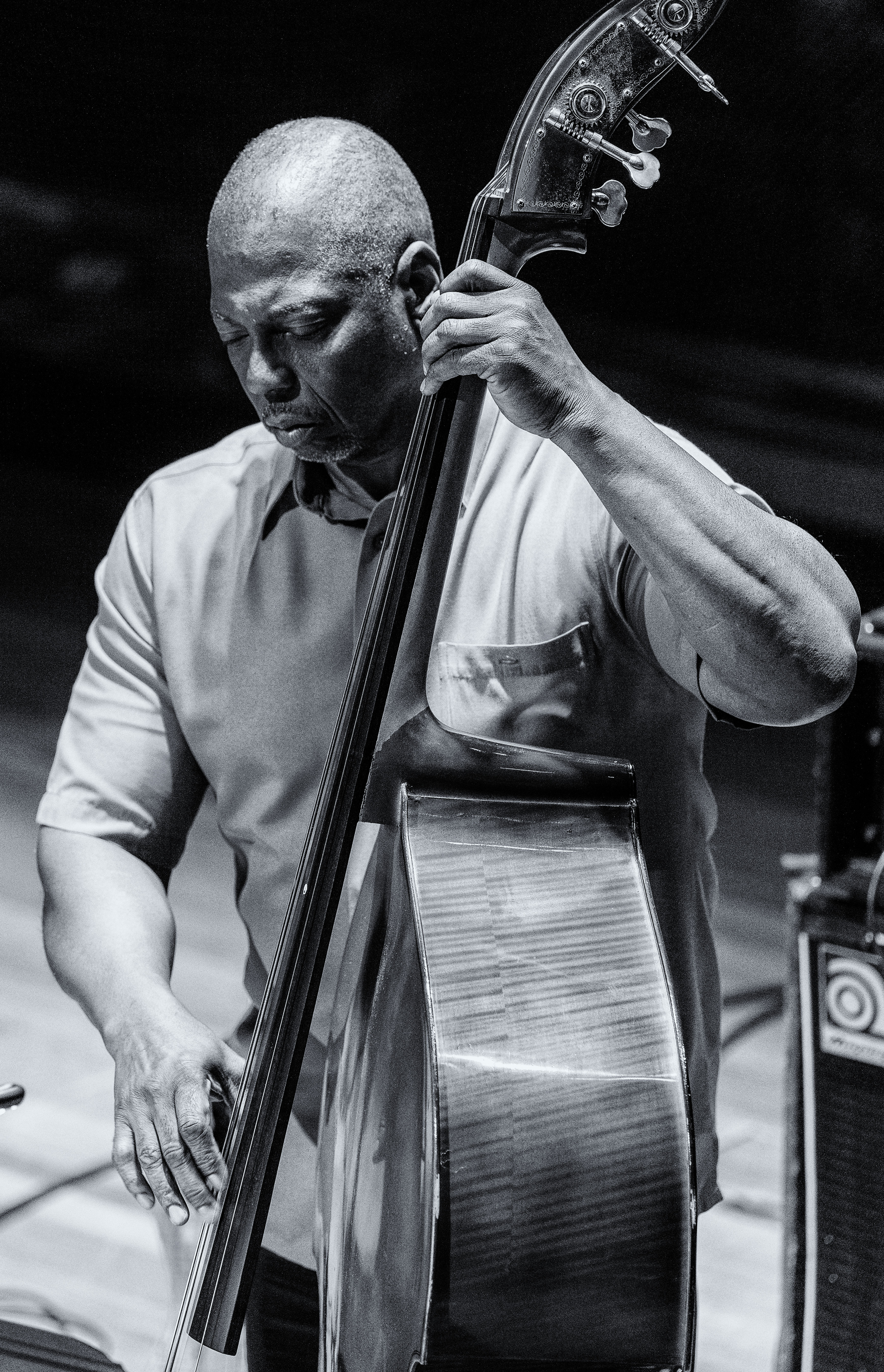 Terry Burrell