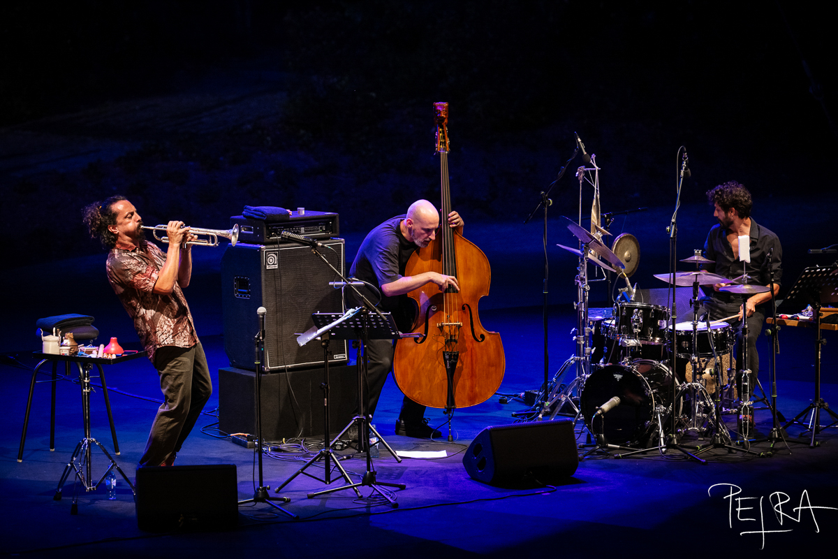 Luís Vicente Trio
