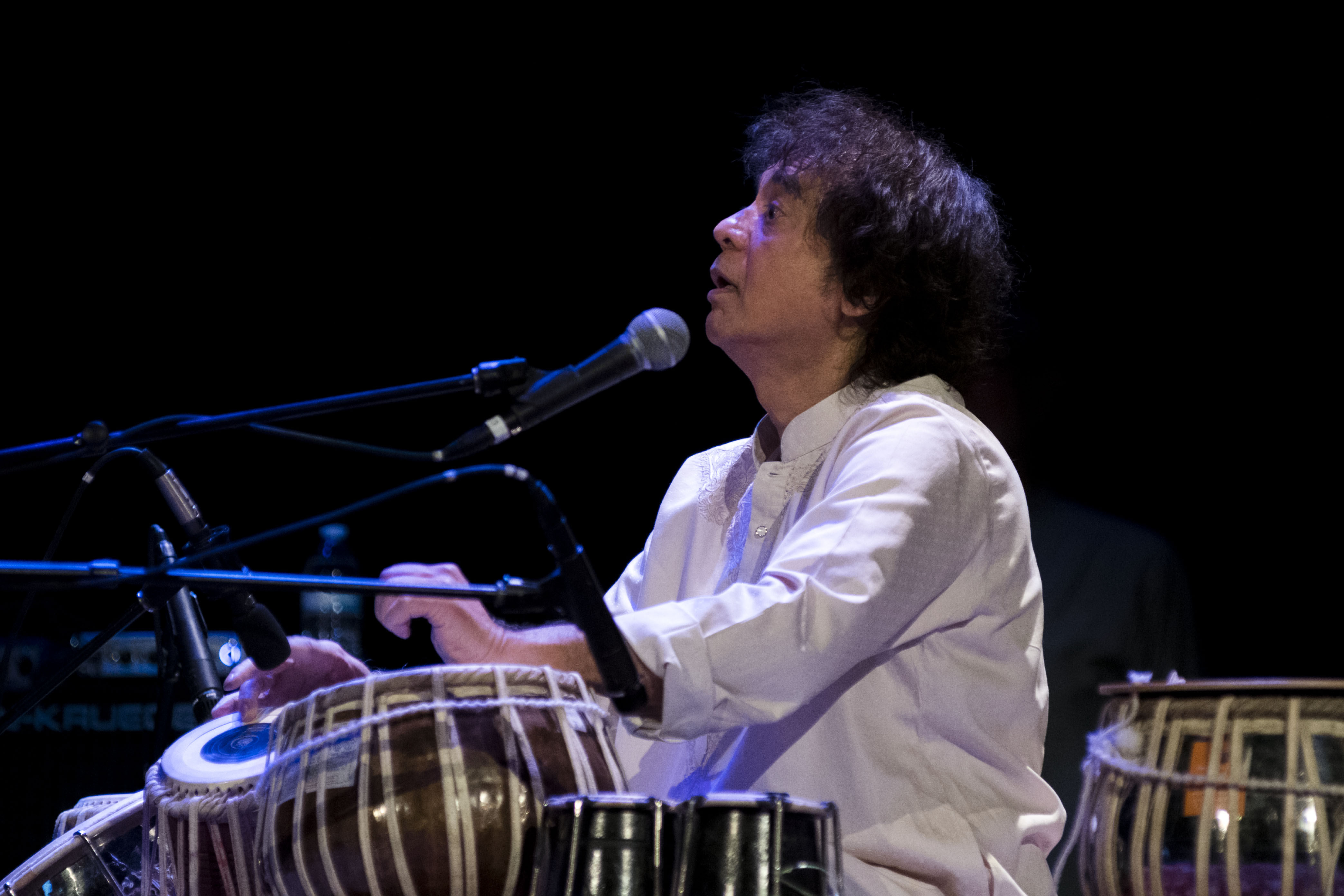 Zakir Hussain